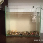 Фото №3 800 продою рыбок с полным комплектом будет торг
