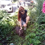 Фото №3 Кошачья няня. Присмотр за кошками