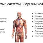 Электропунктурная диагностика организма