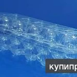 Фото №3 Контейнер для перепелиных яиц