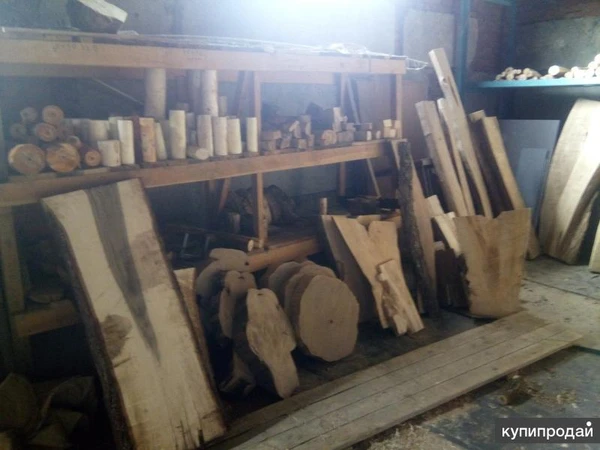 Фото Cпилы катальпы, черешни, клена, ореха, и др