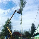 СПИЛ ДЕРЕВЬЕВ, ОБРЕЗКА 