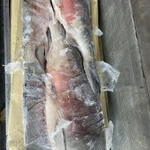 Фото №2 Кета ПБГ Крупная