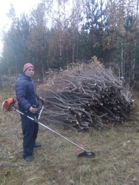 Фото СПИЛ КОРЧЕВАНИЕ ВЫРАВНИВАНИЕ ПЛАНИРОВКА ГАТЧИНА И РАЙОН. 