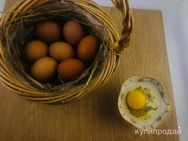 Фото Домашнее куриное яйцо