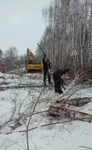 фото Вырубка леса под строительство