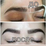 Фото №8 Бровист.