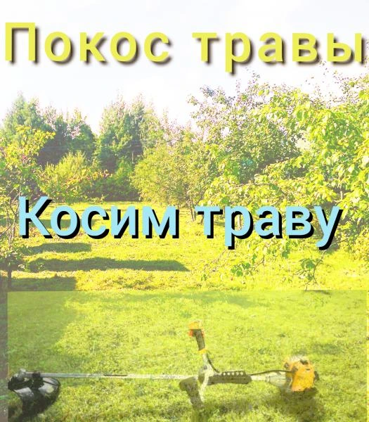 Фото Скосить траву