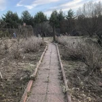 Фото №8 Покос травы, бурьяна, поросли.