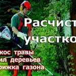 Фото №2 Спил деревьев, Зачистка участков, 