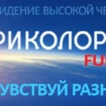 Фото №3 Установка НТВ+,Триколор,МТС,Цифрового тв