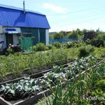 Фото №5 Дача в Октябрьском округе с городской пропиской