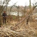 Фото №2 Расчистка участков.Все виды земляных работ