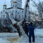 Удаление деревьев