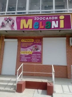 Фото Стрижка собак и кошек