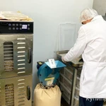 фото Ежовик Гребенчатый оптом или СТМ