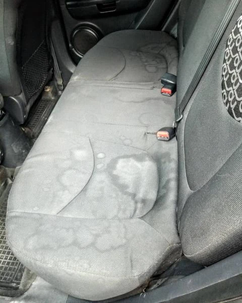 Фото химчистка салона и потолка авто 