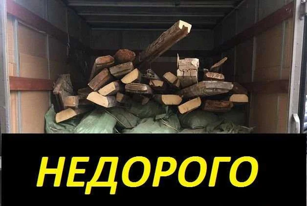 Фото Вывоз мусора