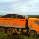 Грунт, Чернозём, Земля плодородная, Торф