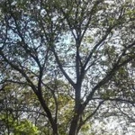 Фото №5 Высотные работы Промышленный альпинизм