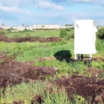 Фото №3 Участок 5.96 сотки Покровская Гатчина — 1 800 000 руб. — газ и свет по границе