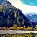 Фото №8 Поездки в горы. Свадьбы. Экскурсии по городам. 