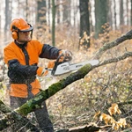 Бесплатная услуга! Обрезка Спил и Удаление деревьев Краснодар.