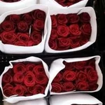 Розы Премиум 60 - 70 см. Цветы и Доставка