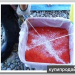 Фото №2 Хлорелла Богатый Пруд