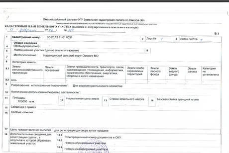 Фото Продам участок 103000 кв.м., на берегу Иртыша.