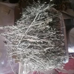 Фото №2 Цикорий веточки. Цена за 100 грамм.