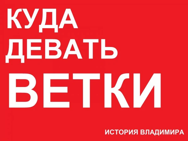 Фото ЧТО ДЕЛАТЬ С ВЕТКАМИ?! История Владимира.СЕКРЕТ УТИЛИЗАЦИИ.