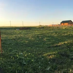 Фото №6 Покос травы и бурьяна, спил, опиловка деревьев