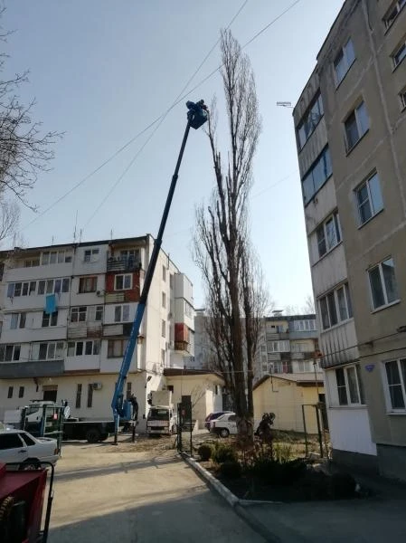 Фото Спил деревьев измельчитель веток 