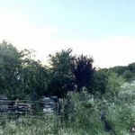 Фото №4 Мёд разнотравье с собственной пасеки, Кубанский