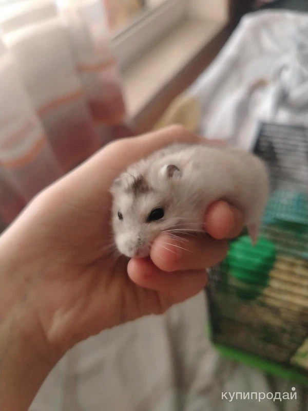 Фото Червишеский тракт 47