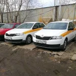 Аренда шкода рапид (skoda rapid) Тушино