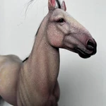 фото Лошадь Mr.Z