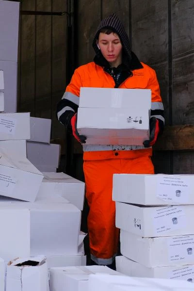Фото Услуги грузчиков