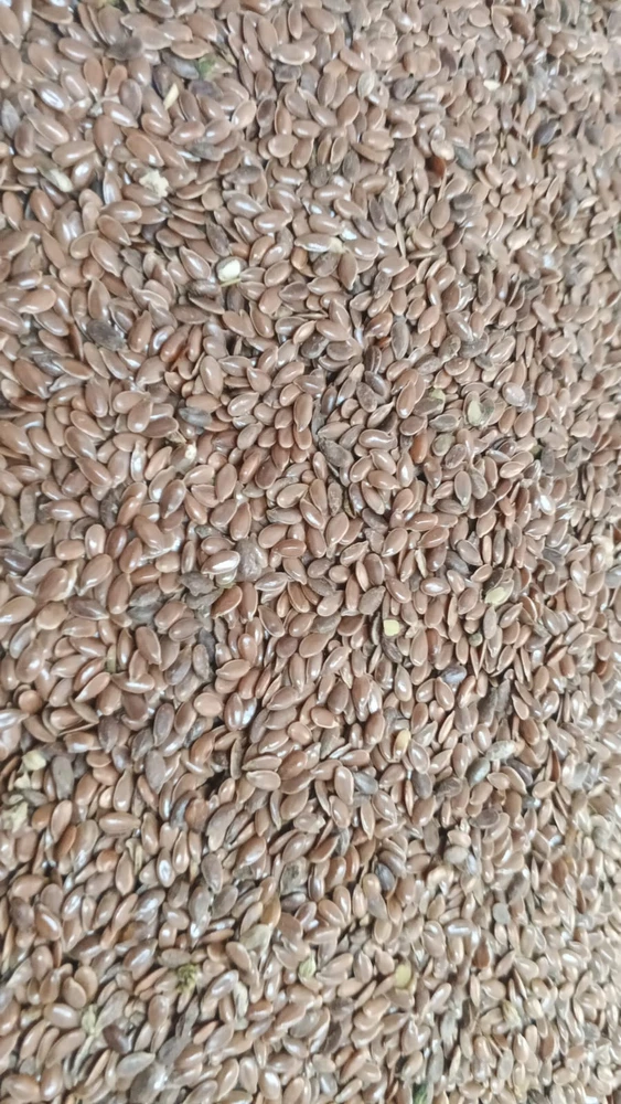 Фото Лен коричневый