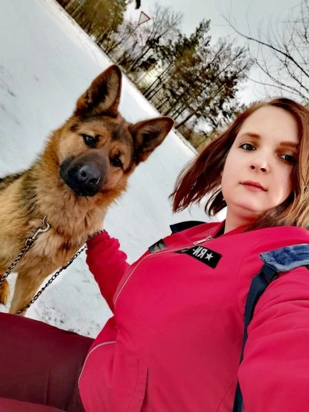 Фото Выгул и Дрессировка Бесплатно