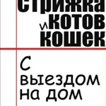 Грумер все районы Спб