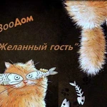 Передержка для кошек