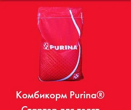 Фото Комбикорм для КРС Purina