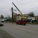 Фото №7 Спил дерева любой сложности расчиска
