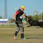 Дрессировка собак Саратов Энгельс