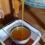 фото Мёд свежий