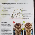 Фото №7 Биочистка шуб,меха.Покраска кожи