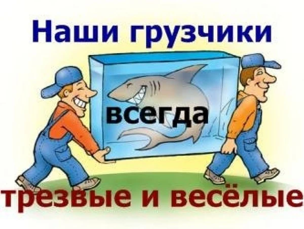 Фото Грузчики. Грузоперевозки. Переезды.