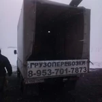 Фото №2 Перевозка животных, КРС.